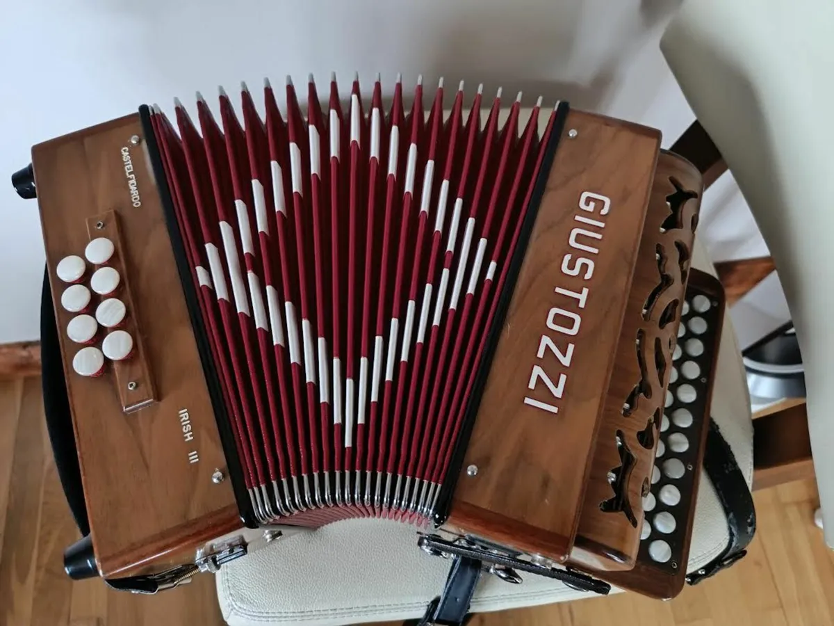 accordion - Image 2