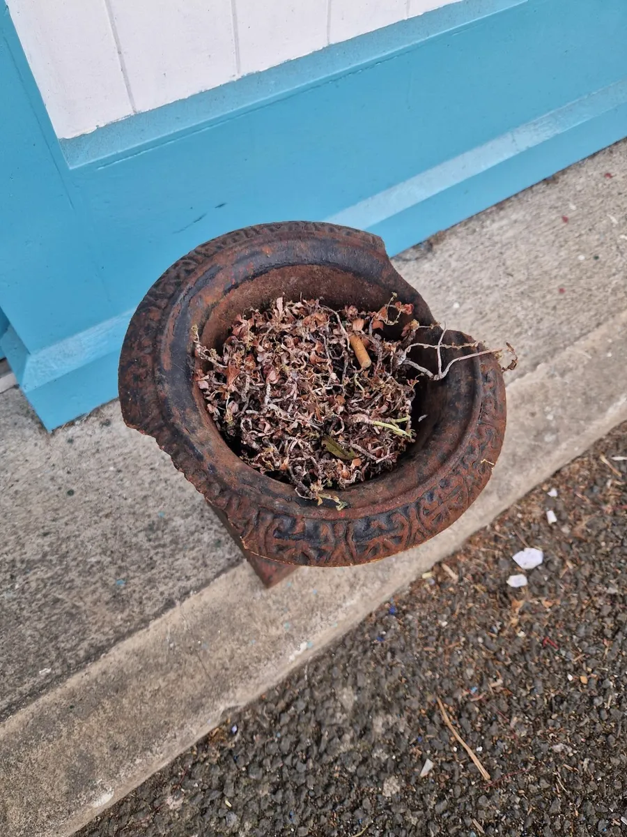 Vintage Cast Iron Planter - Image 2