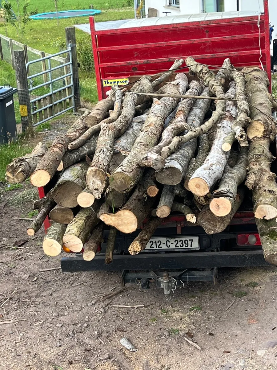 Firewood - Image 2