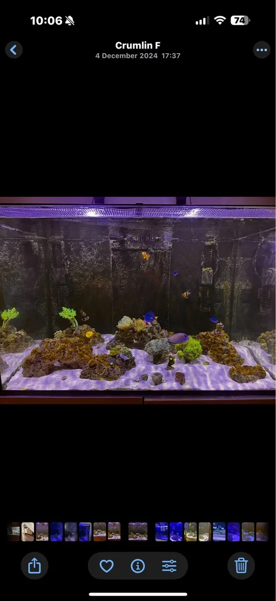 Red sea reefer G2 350 - Image 2