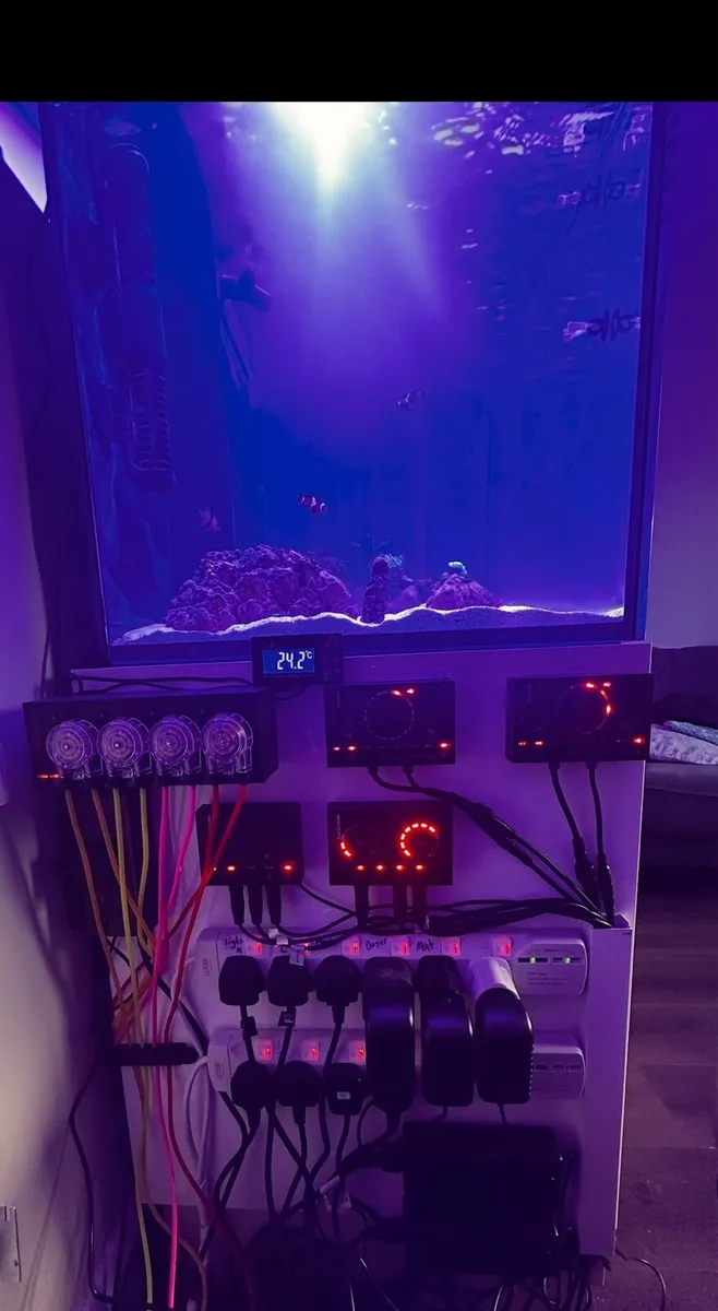 Red sea reefer G2 350 - Image 3