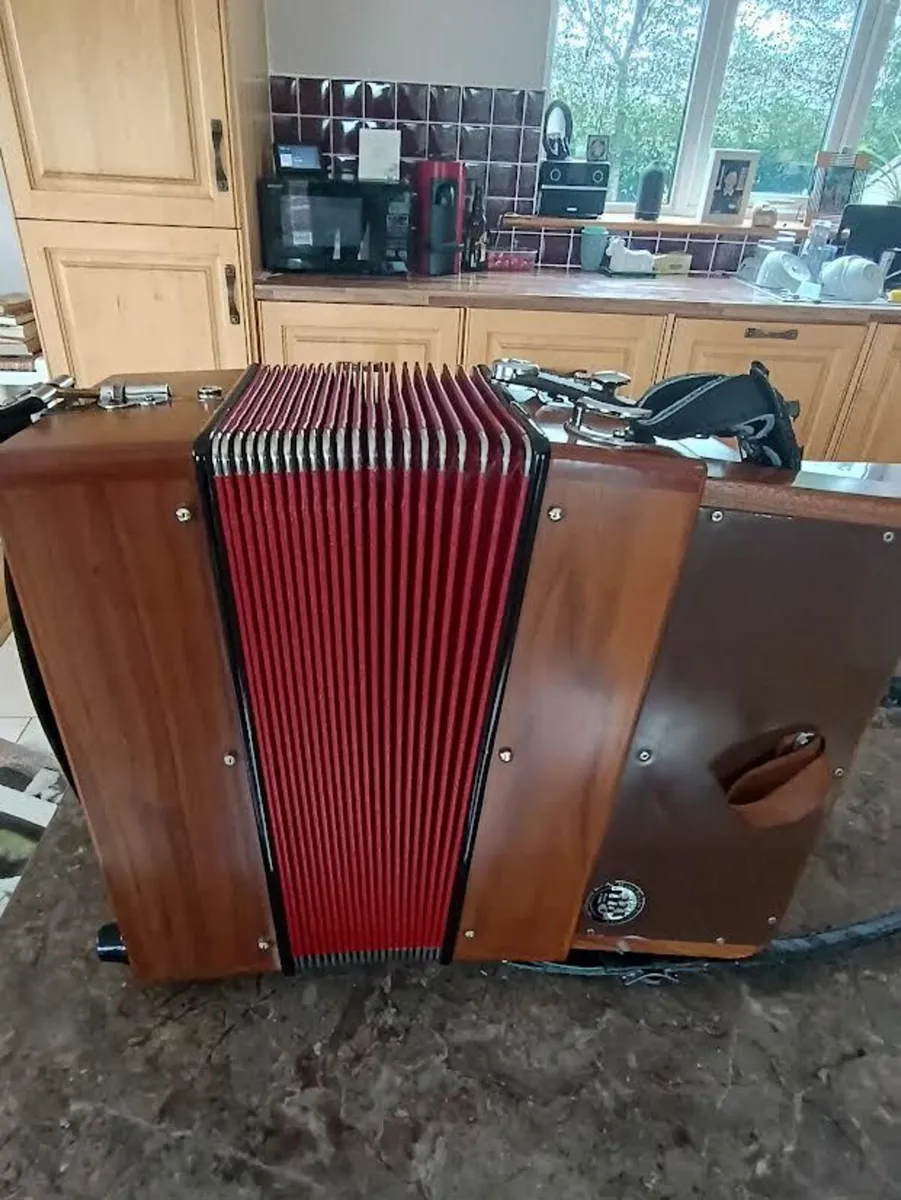 accordion - Image 4
