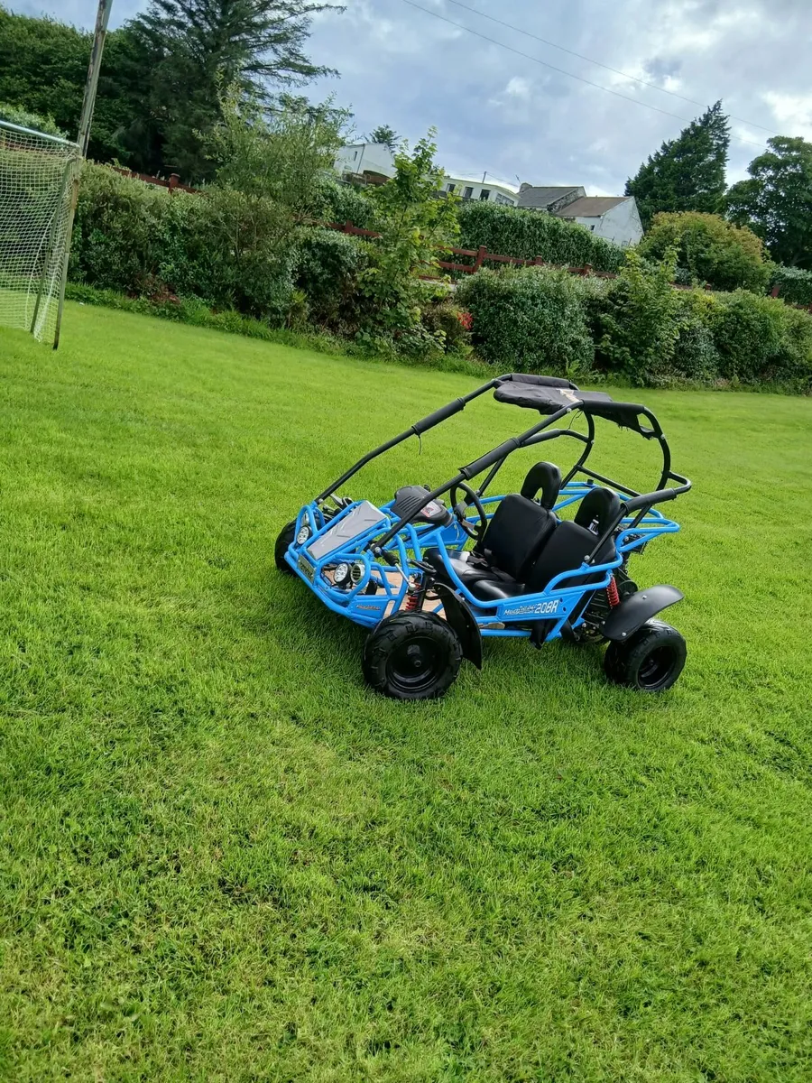 Hamerhead 208cc 2 seatef buggy - Image 2