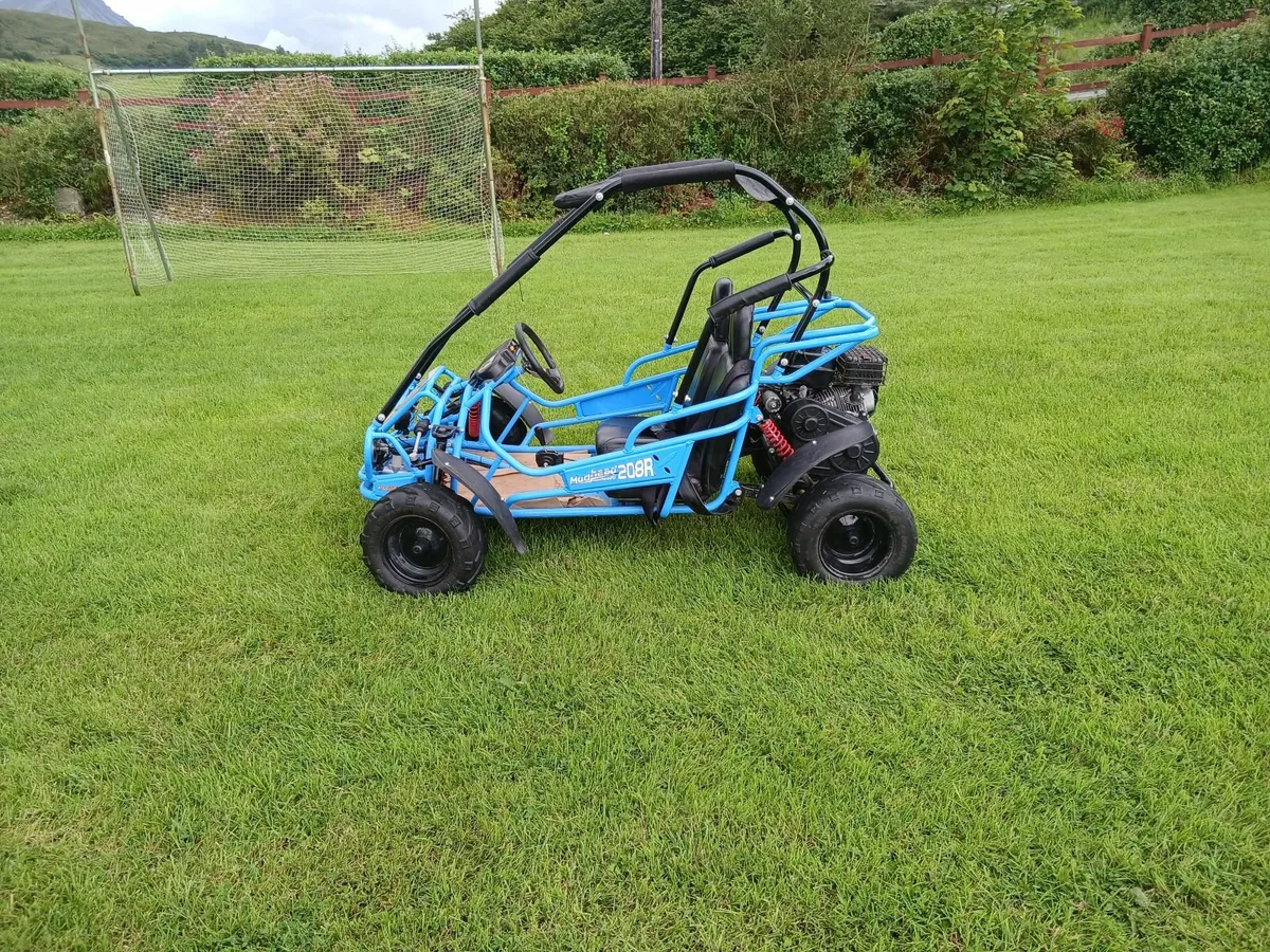 Hamerhead 208cc 2 seatef buggy - Image 4