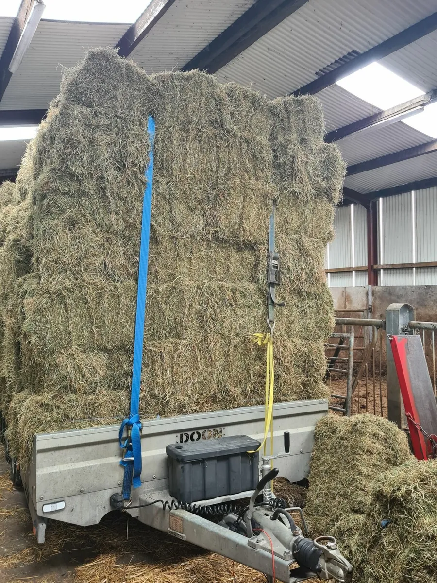 small bails of hay