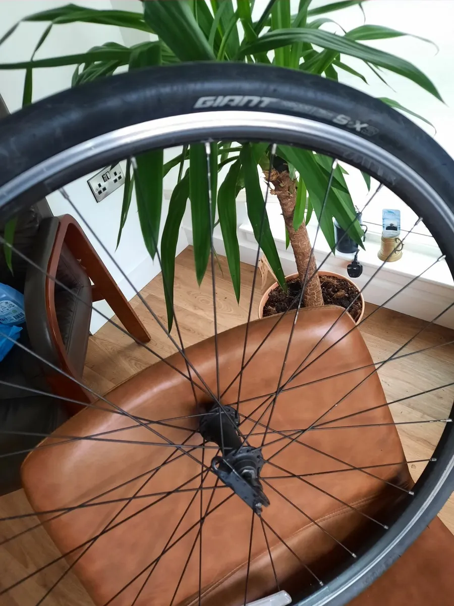 Front wheel - Image 3