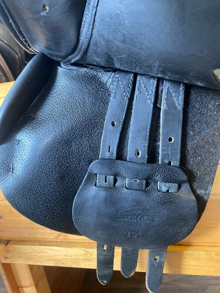 Santa Cruz 16” pony Leather jumping saddle - Image 2