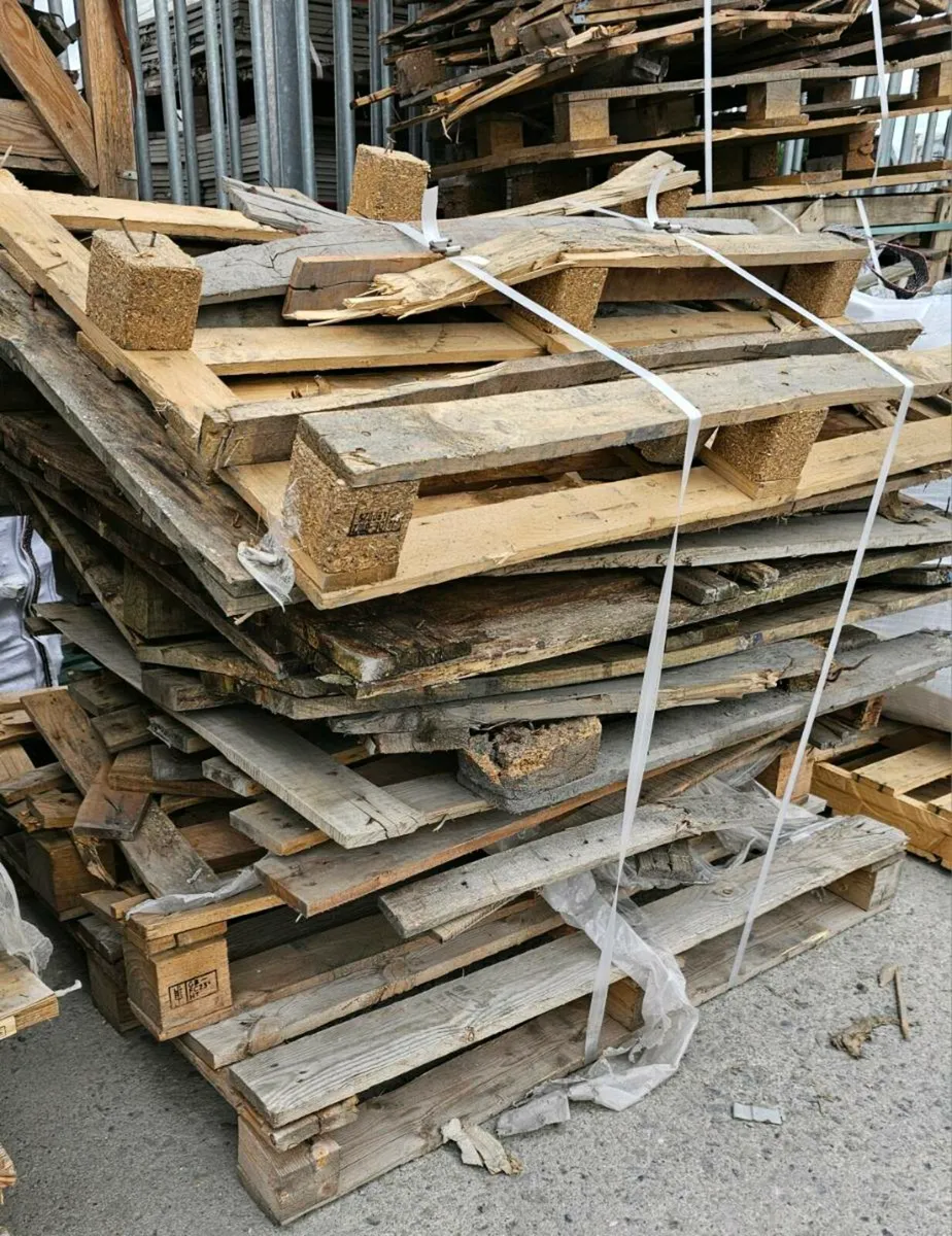 FREE - Image 3