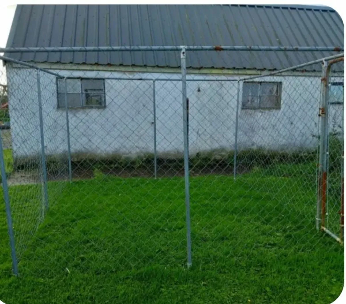 Dog Pen