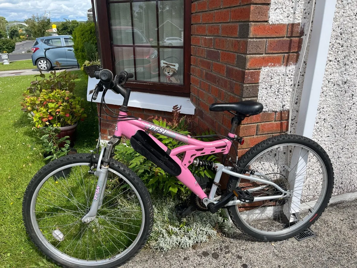 Lady’s Bicycle and Other Items - Image 1