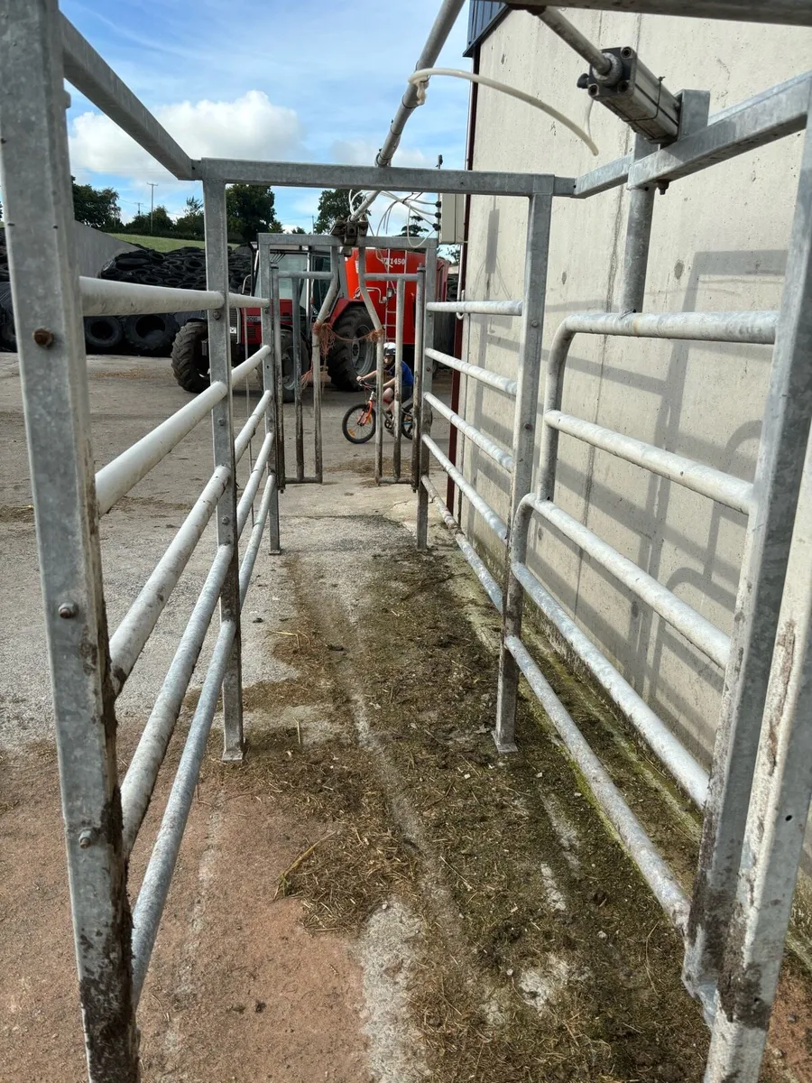 1-way Fabdec sorting gate - Image 4
