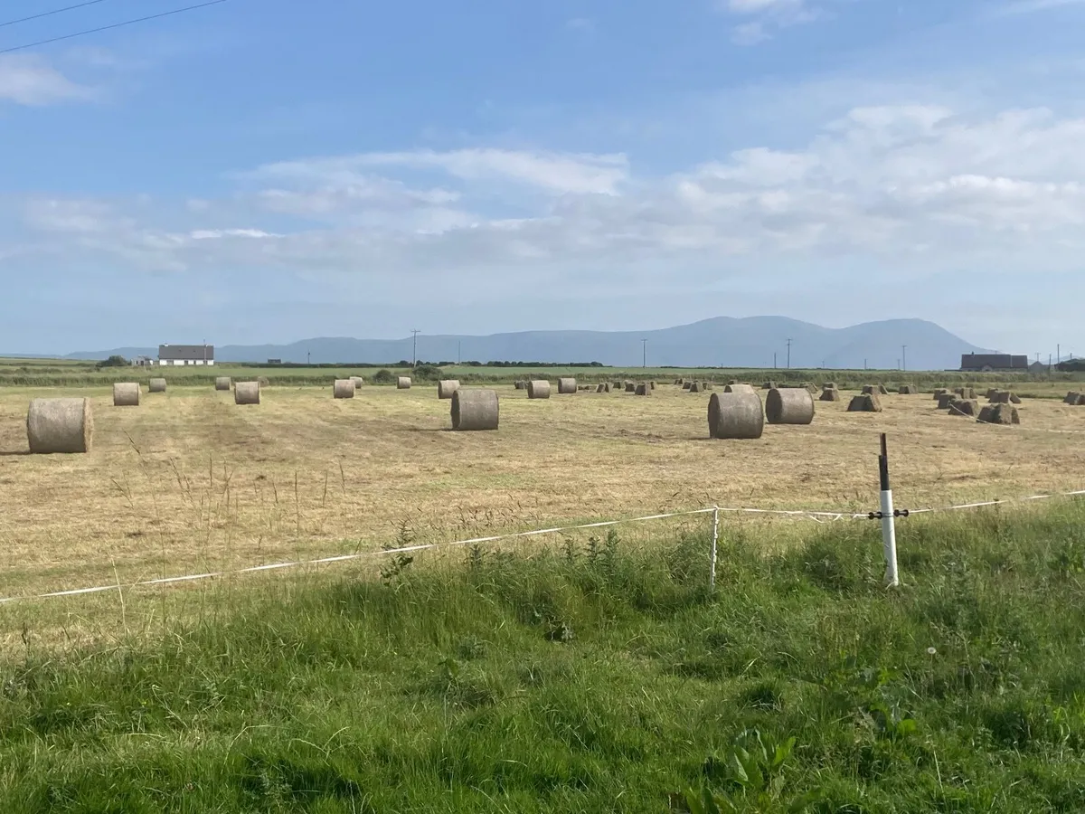 16 Organic round bales surplus - Image 4