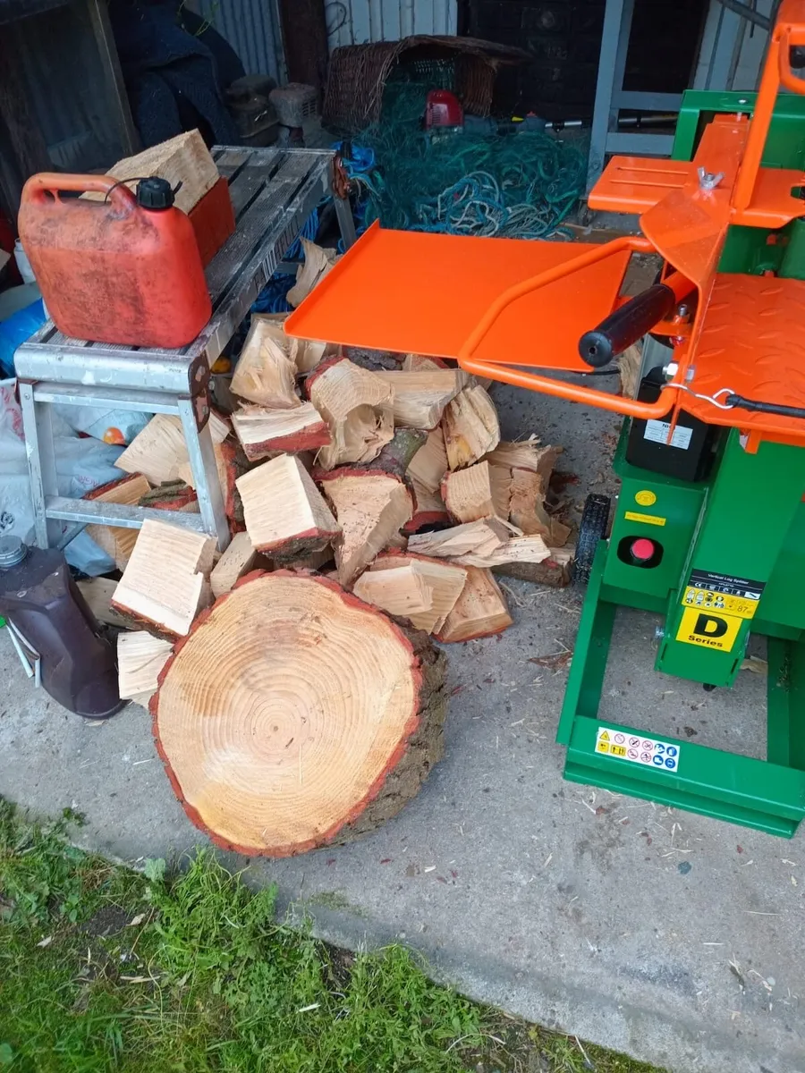 Log splitter - Image 3