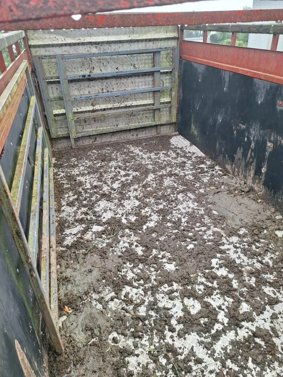 Cattle trailer 16ft - Image 4
