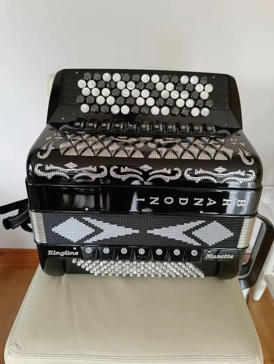accordion - Image 1