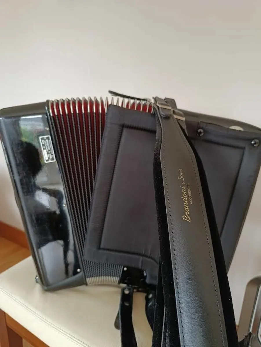 accordion - Image 4
