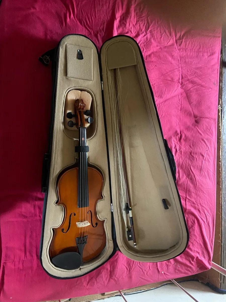 Students Violin - Image 1