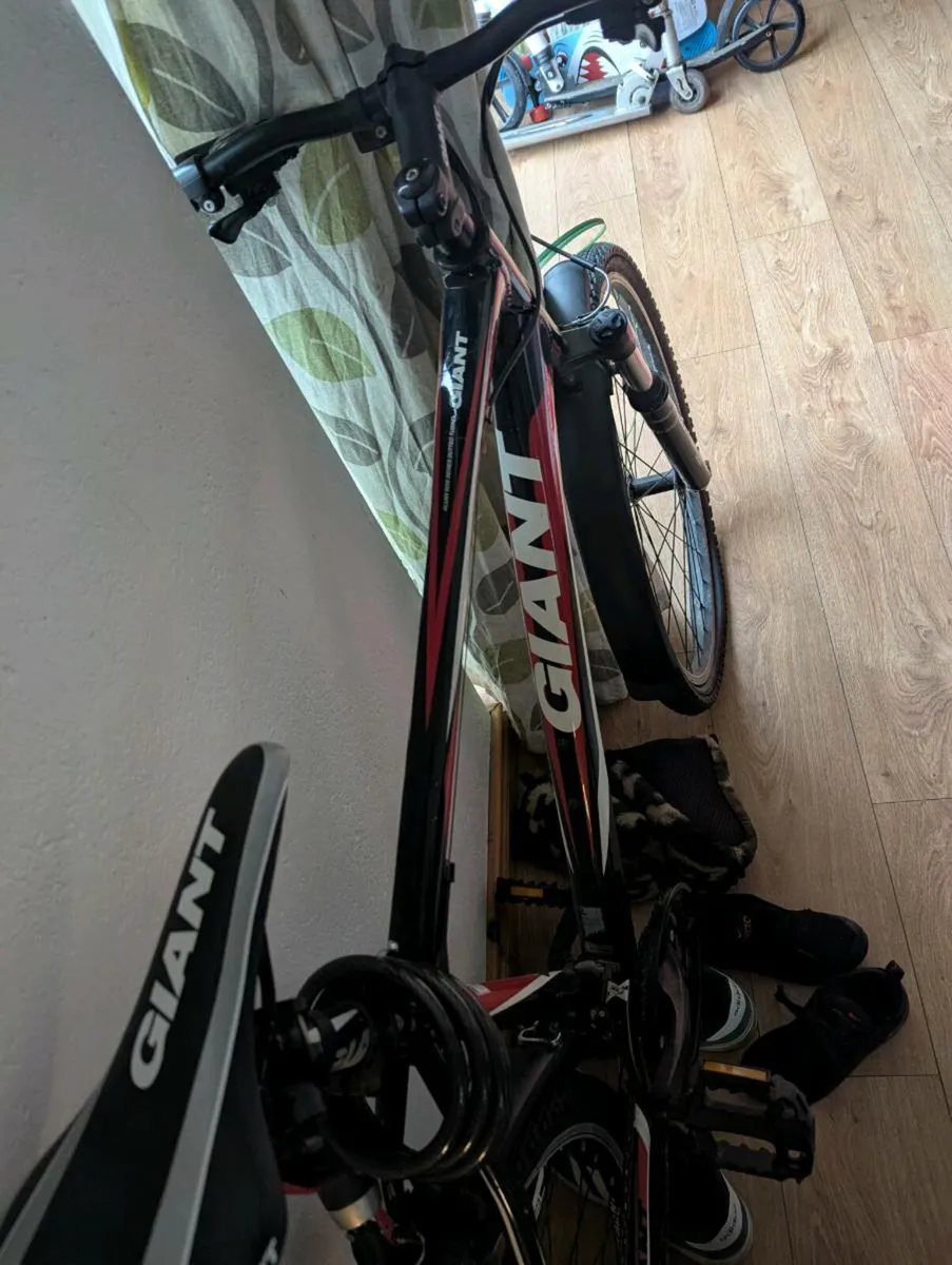 Giant revel mountain bike - Image 2