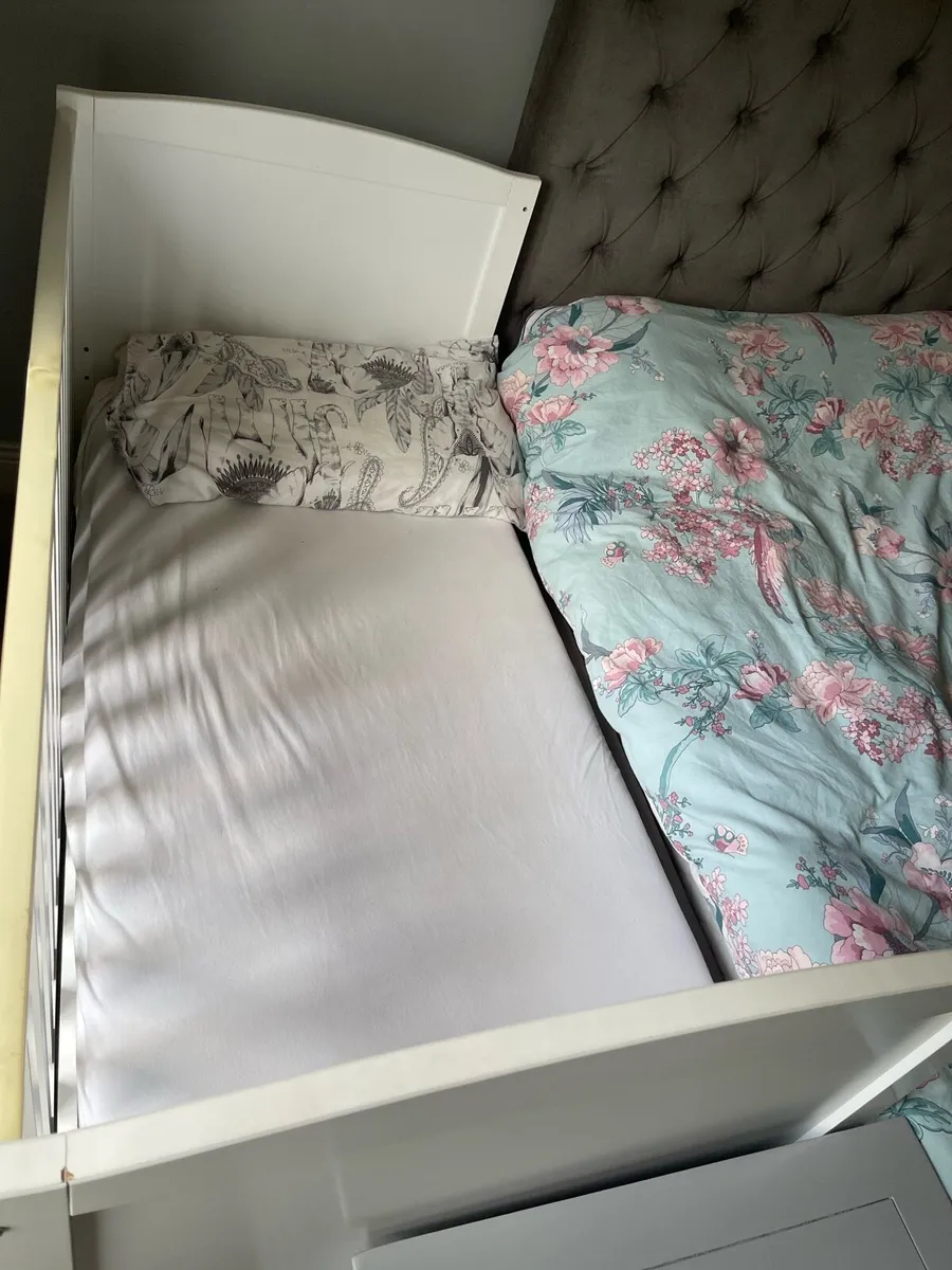 Cot - Image 4