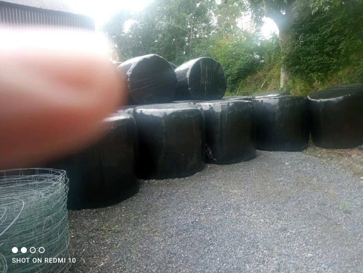 Haylage Bales