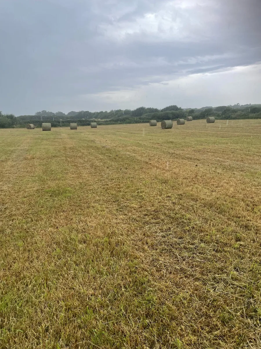 32 bales of hay - Image 2