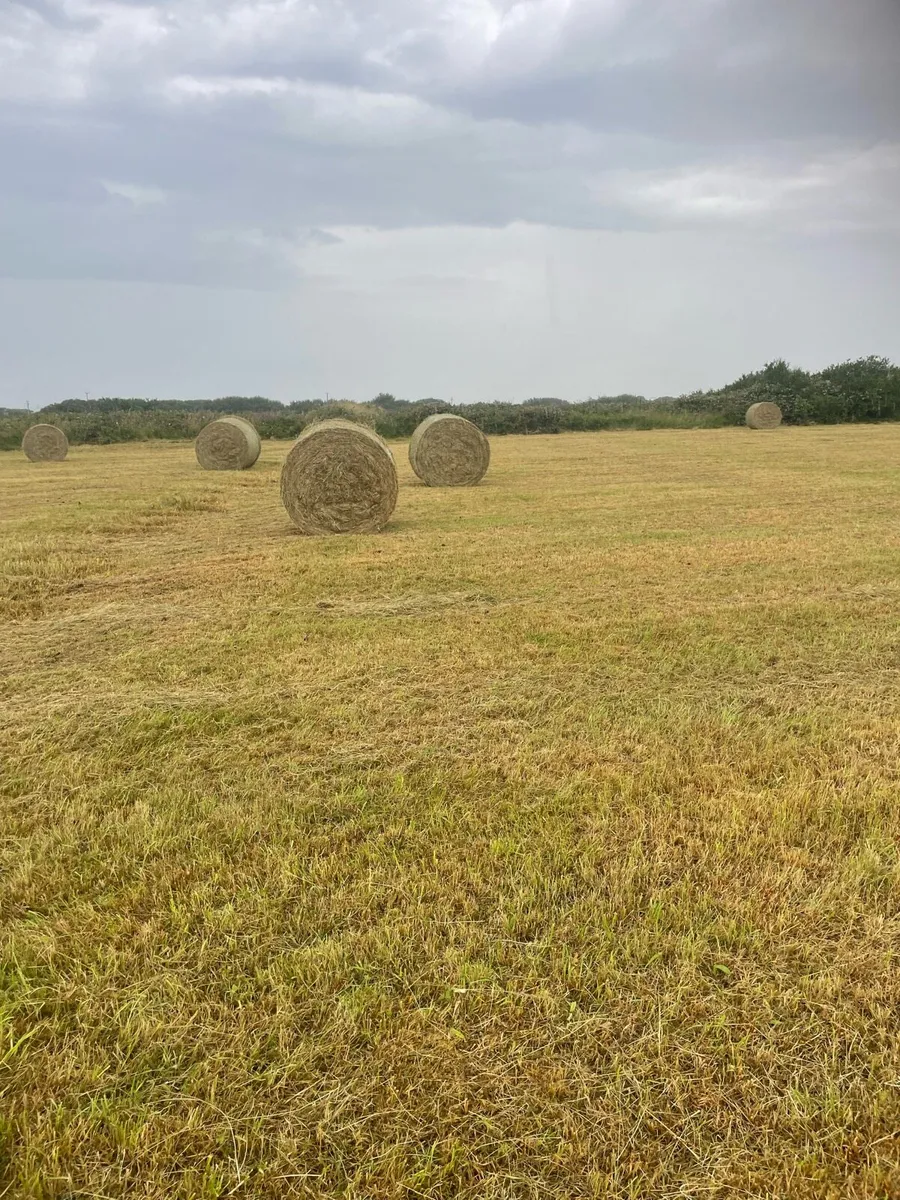 32 bales of hay - Image 3