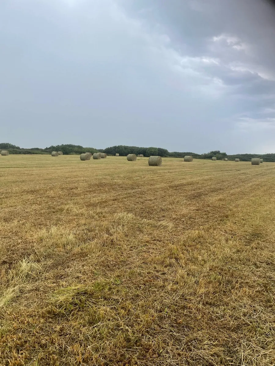 32 bales of hay - Image 4