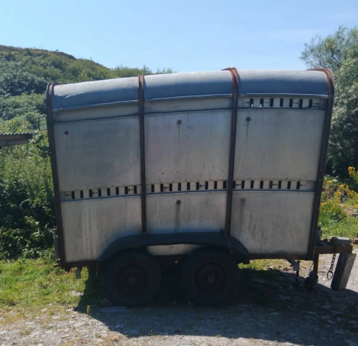 cow box - Image 1