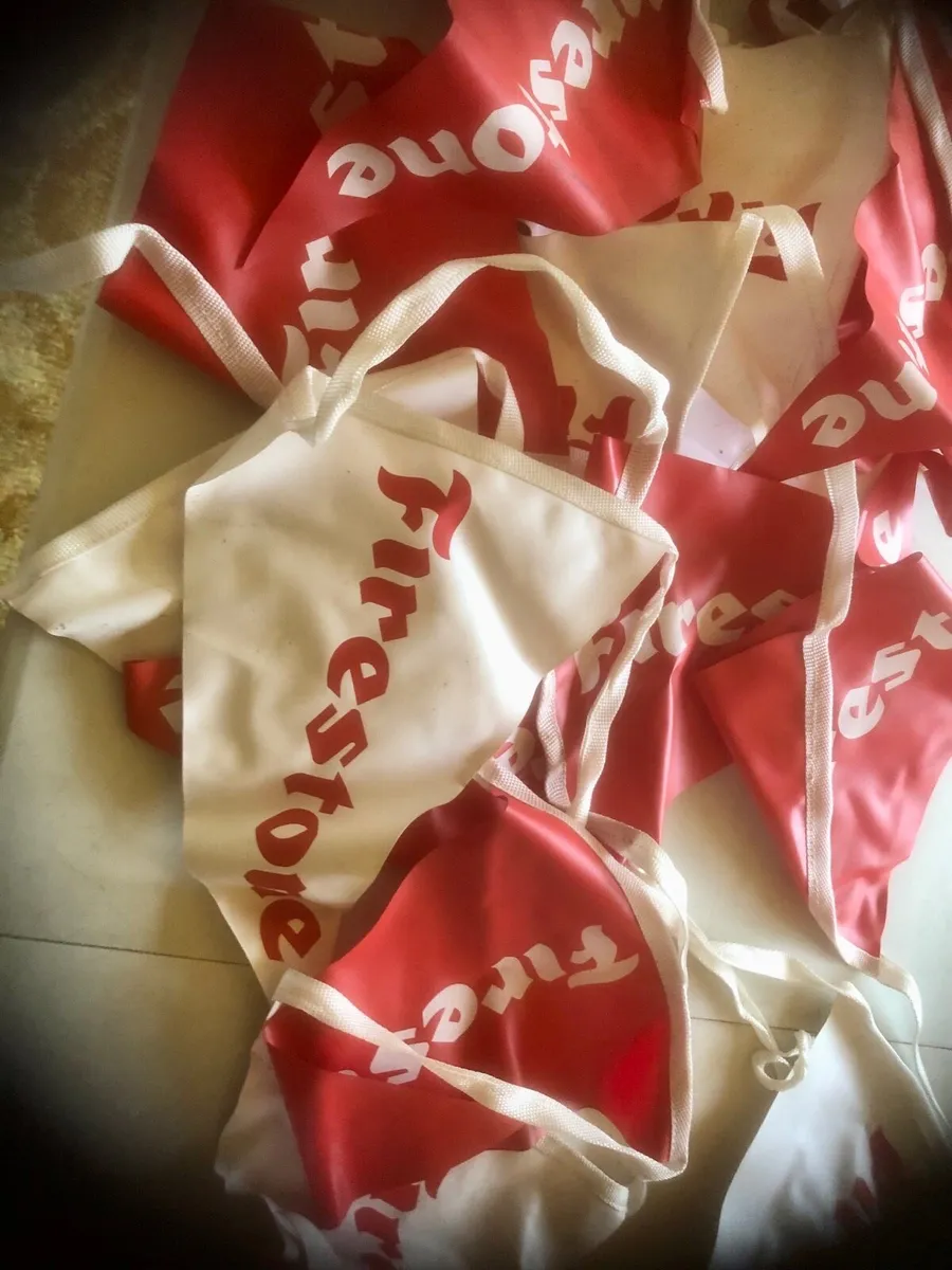 🔴Firestone Bunting 🔴 - Image 1