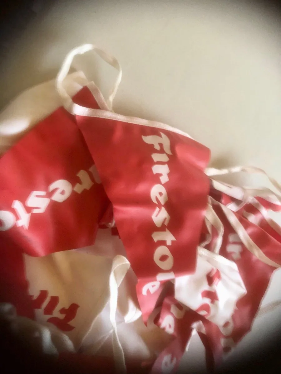 🔴Firestone Bunting 🔴 - Image 2
