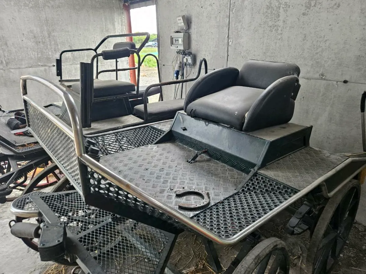 Two 4 wheeler carts - Image 2
