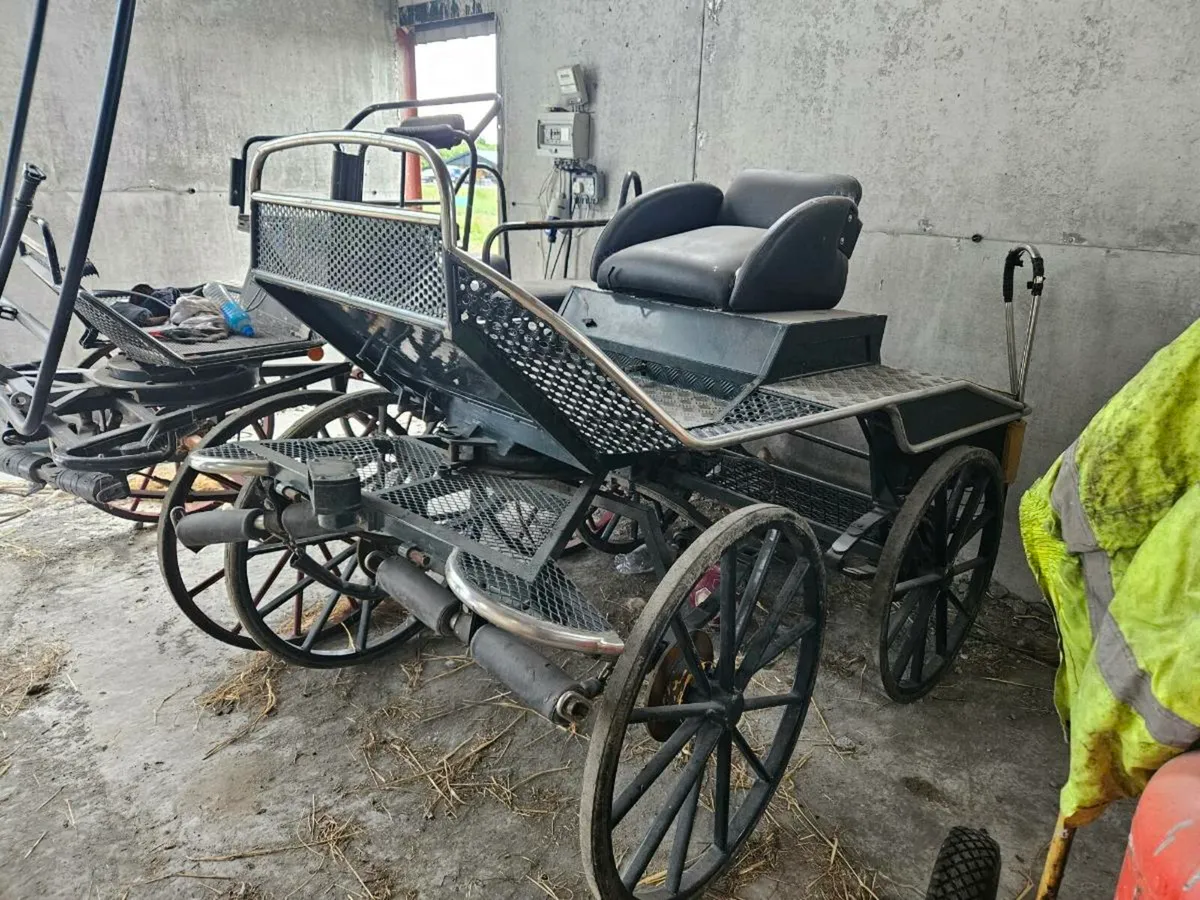 Two 4 wheeler carts - Image 3