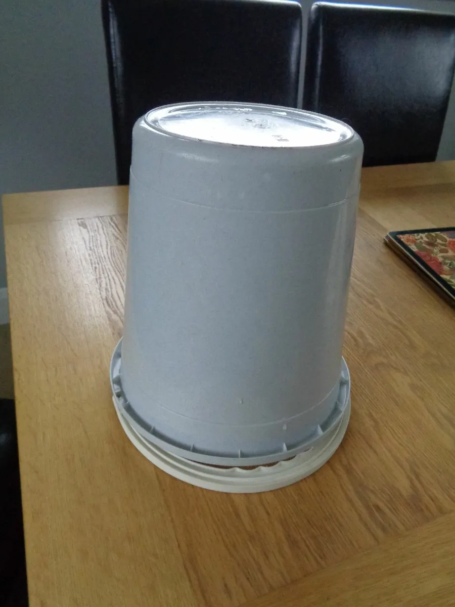 Plastic Bucket with Pouring Spout for Sale - Image 2