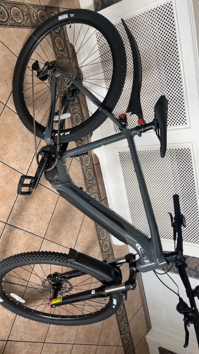 E bike - Image 3