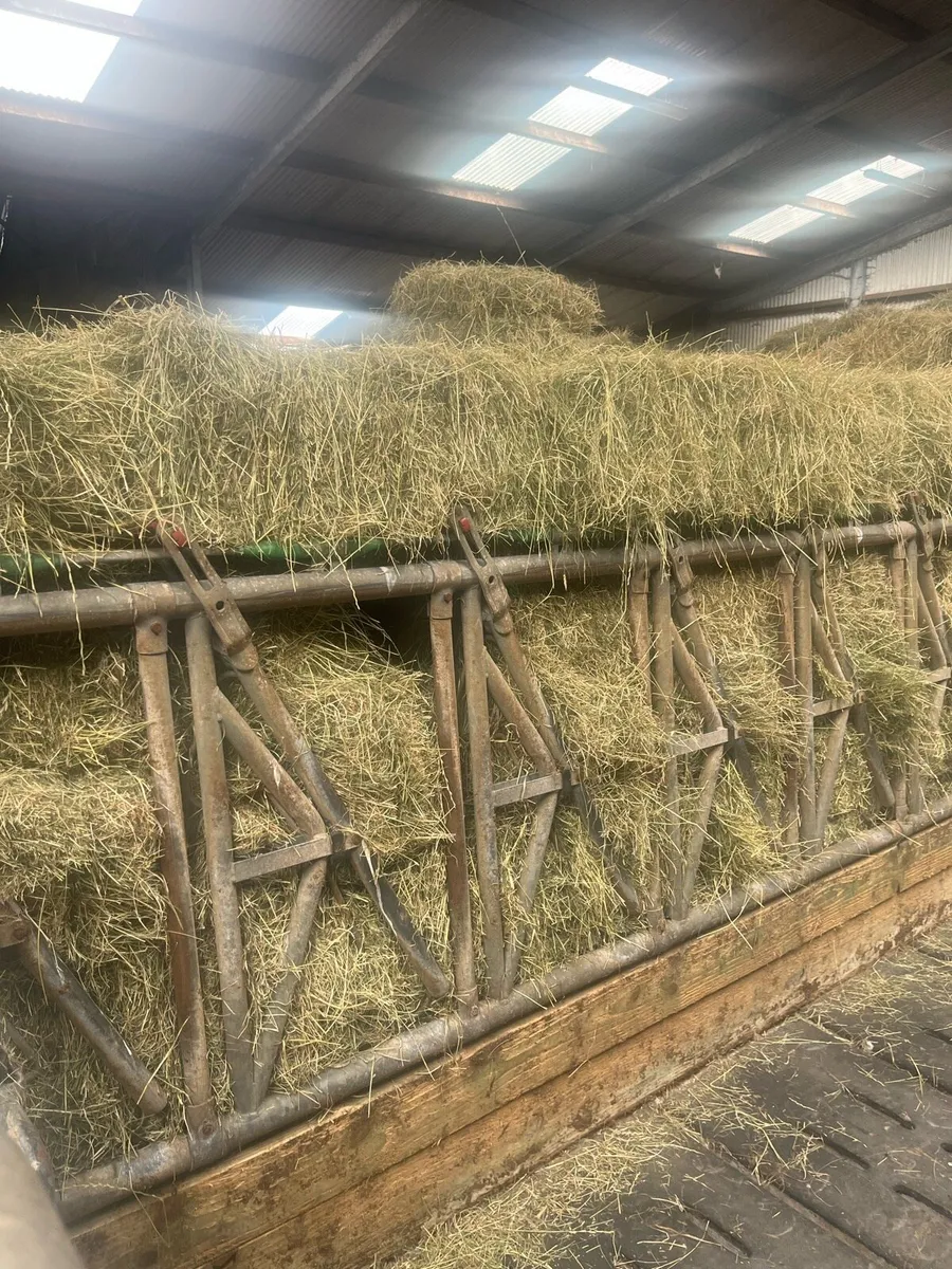 Hay