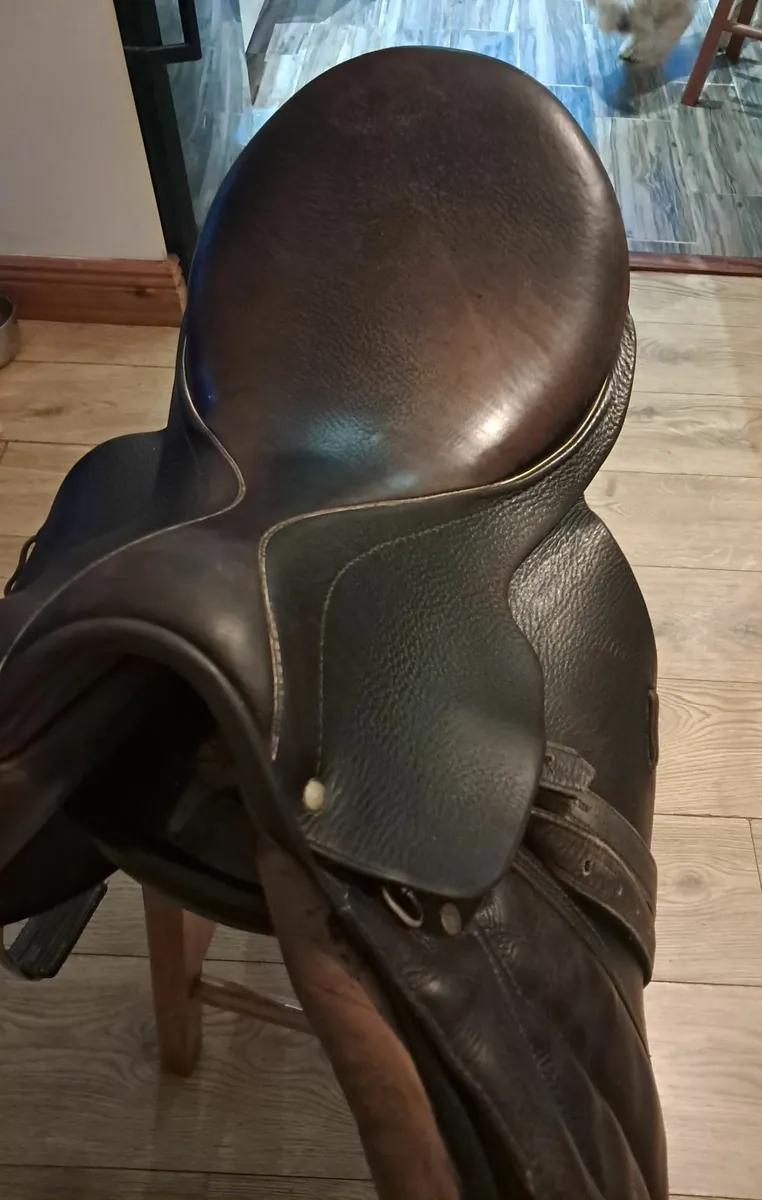 Saddle - Image 1