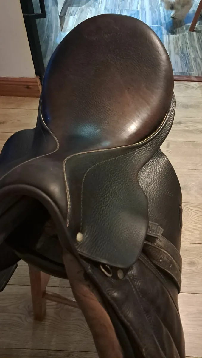 Saddle - Image 2