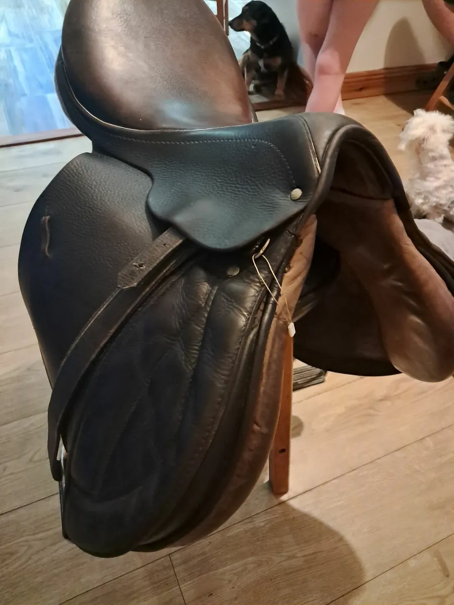 Saddle - Image 4