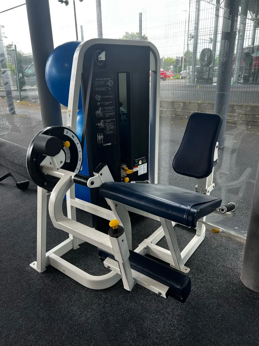 Leg Extension - Cybex - Image 1