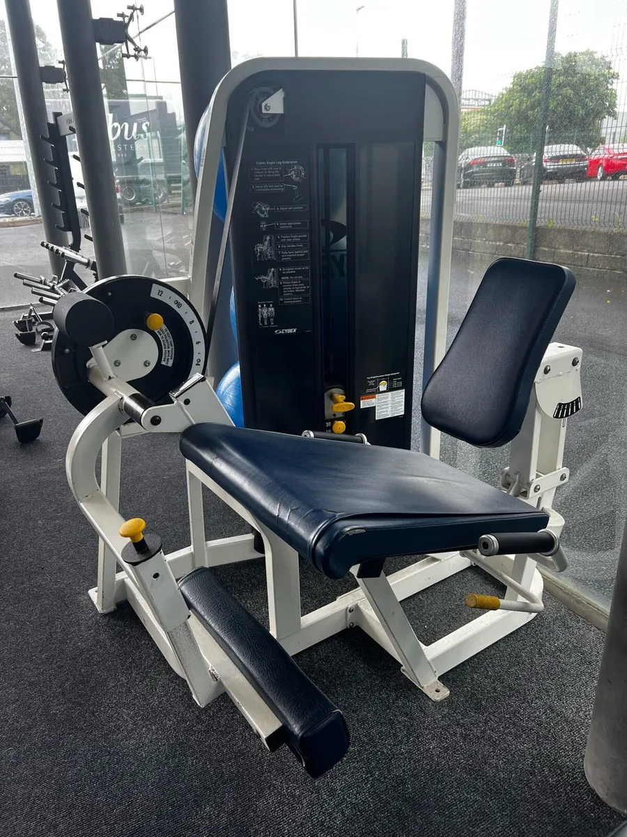 Leg Extension - Cybex - Image 2