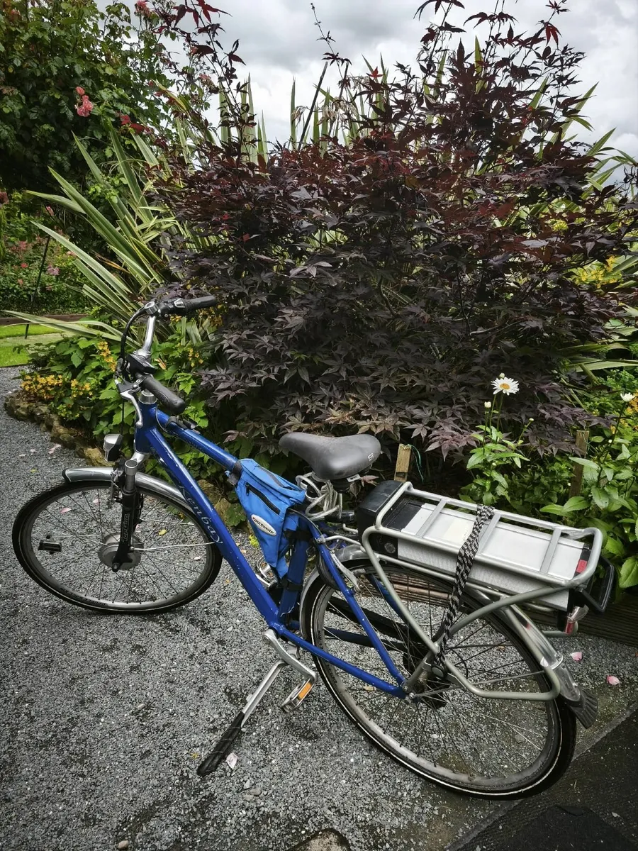 Electric bike - Image 3