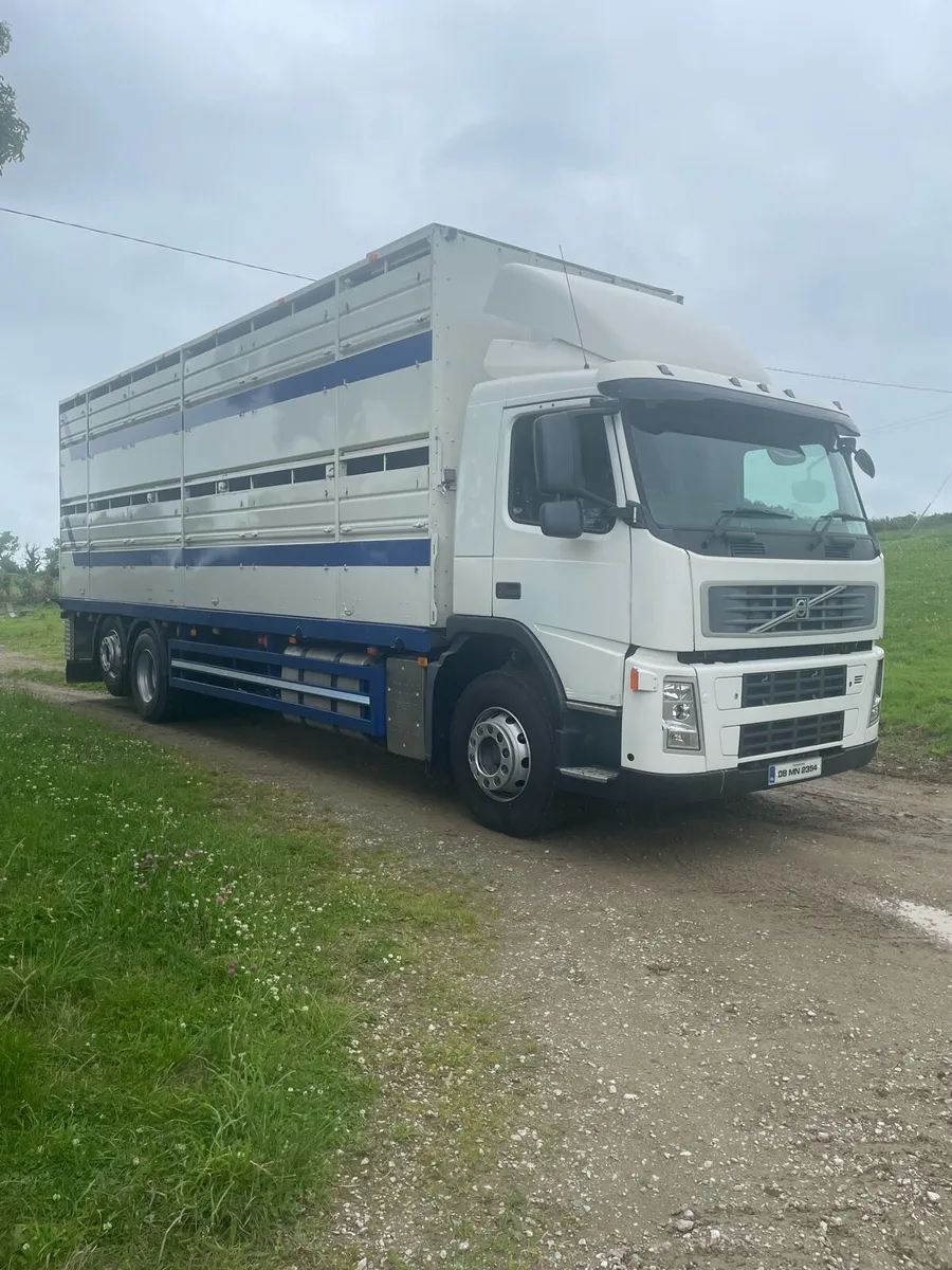 💥Volvo cattle lorry for sale 💥 - Image 2