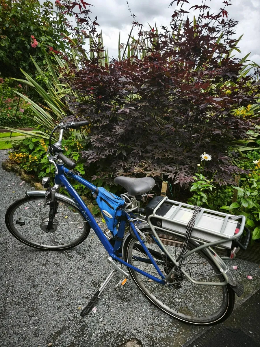 Electric bike - Image 2