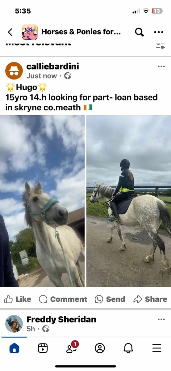 Pony for part loan - Image 2