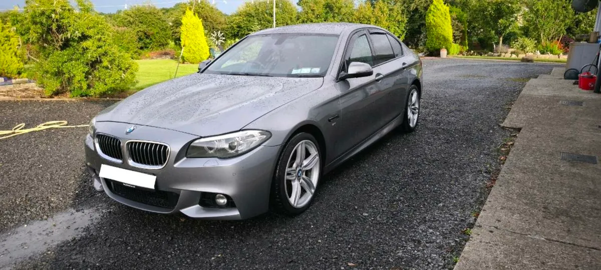 BMW 5 Series D F10 M Sport 4DR Auto - Image 2