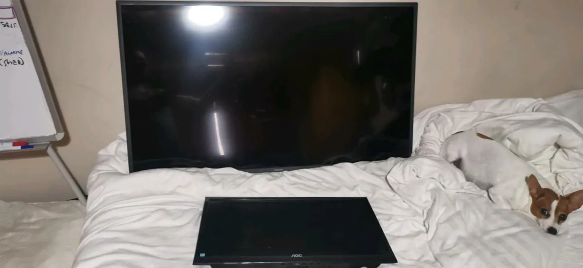 TV 43 and monitor 24 no stand - Image 1