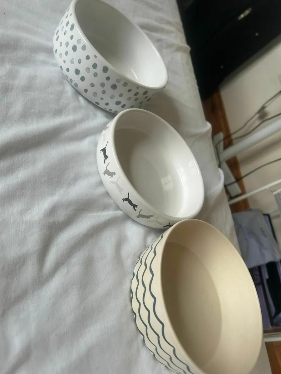 Cat jars/ Bed/ Litter Box - Image 1