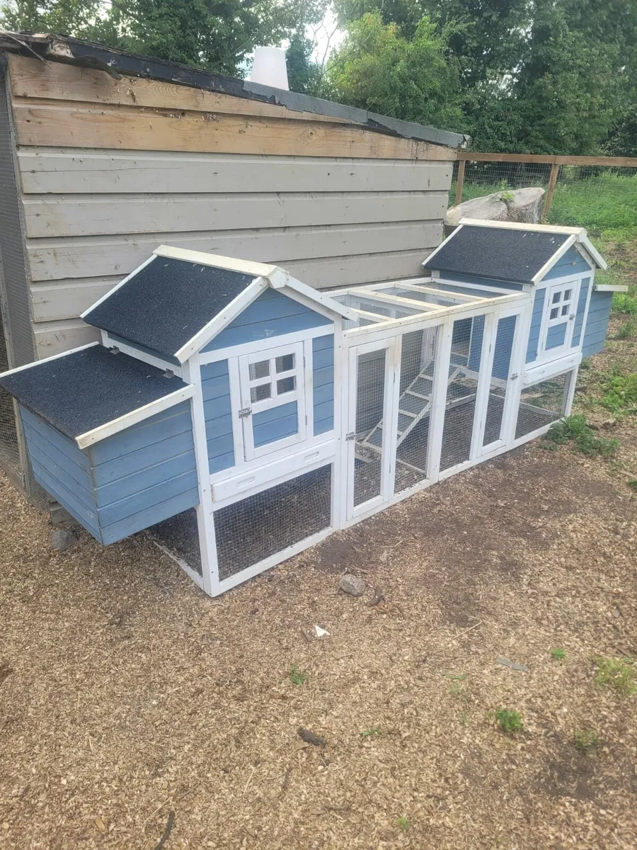 Chicken coop - Image 1