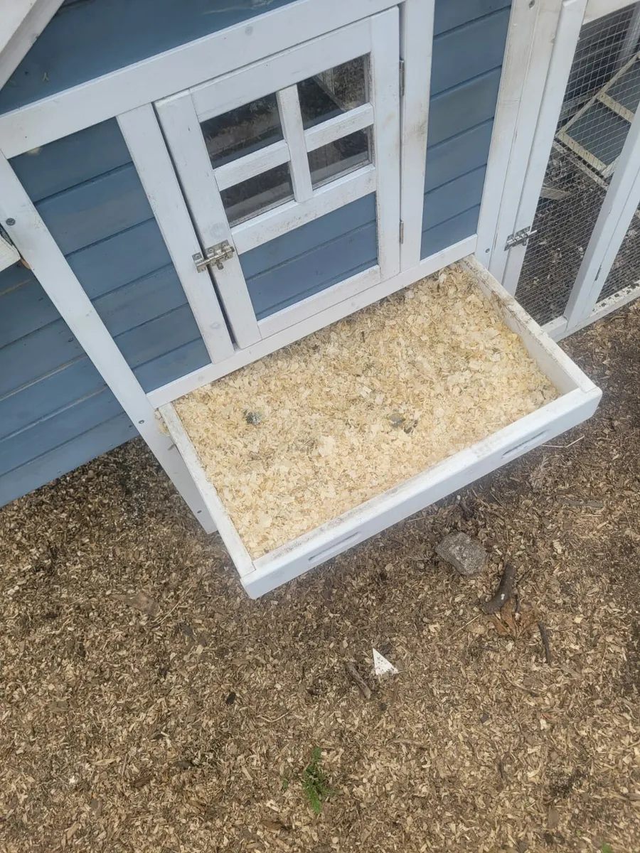 Chicken coop - Image 3