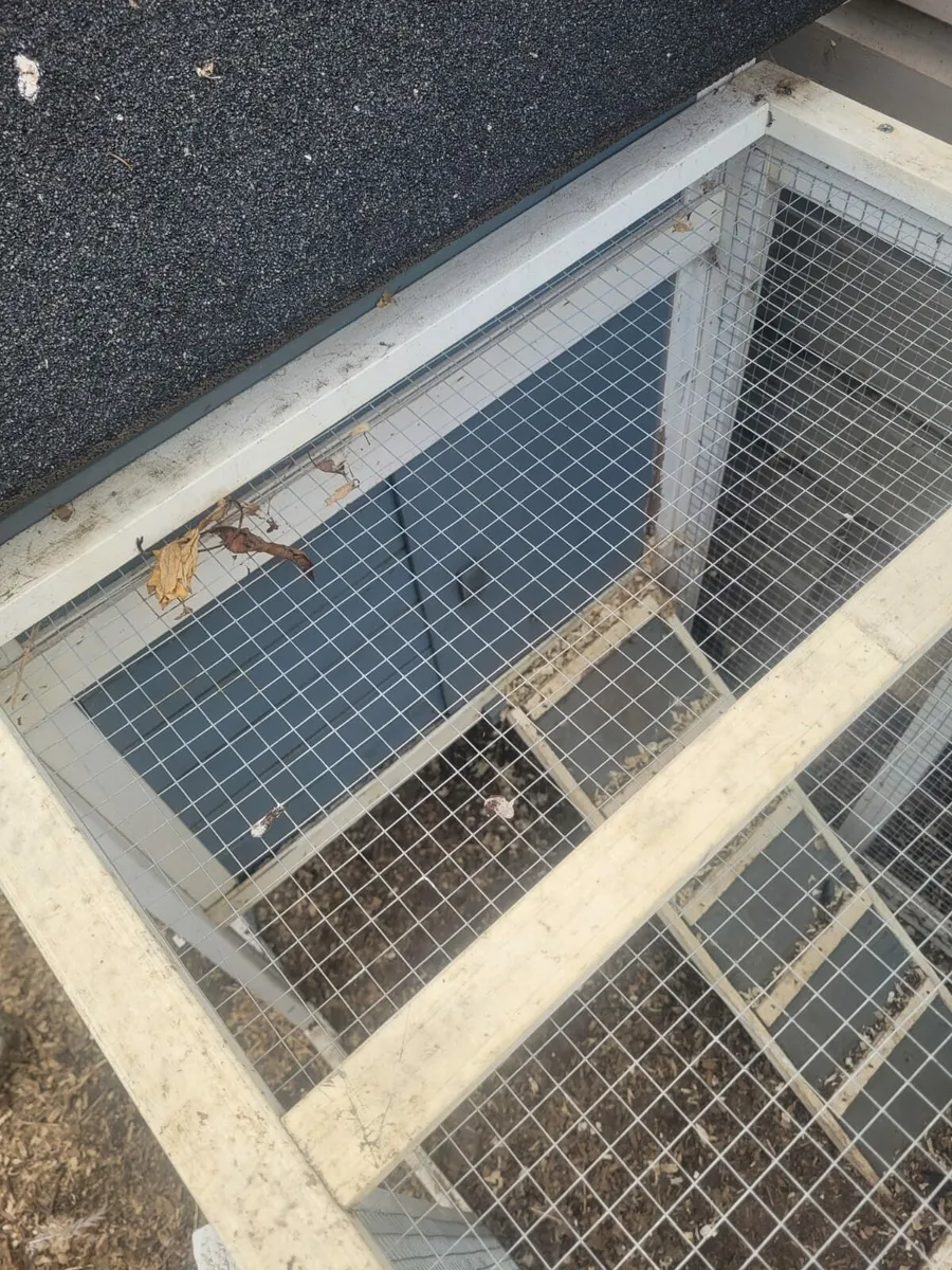 Chicken coop - Image 4